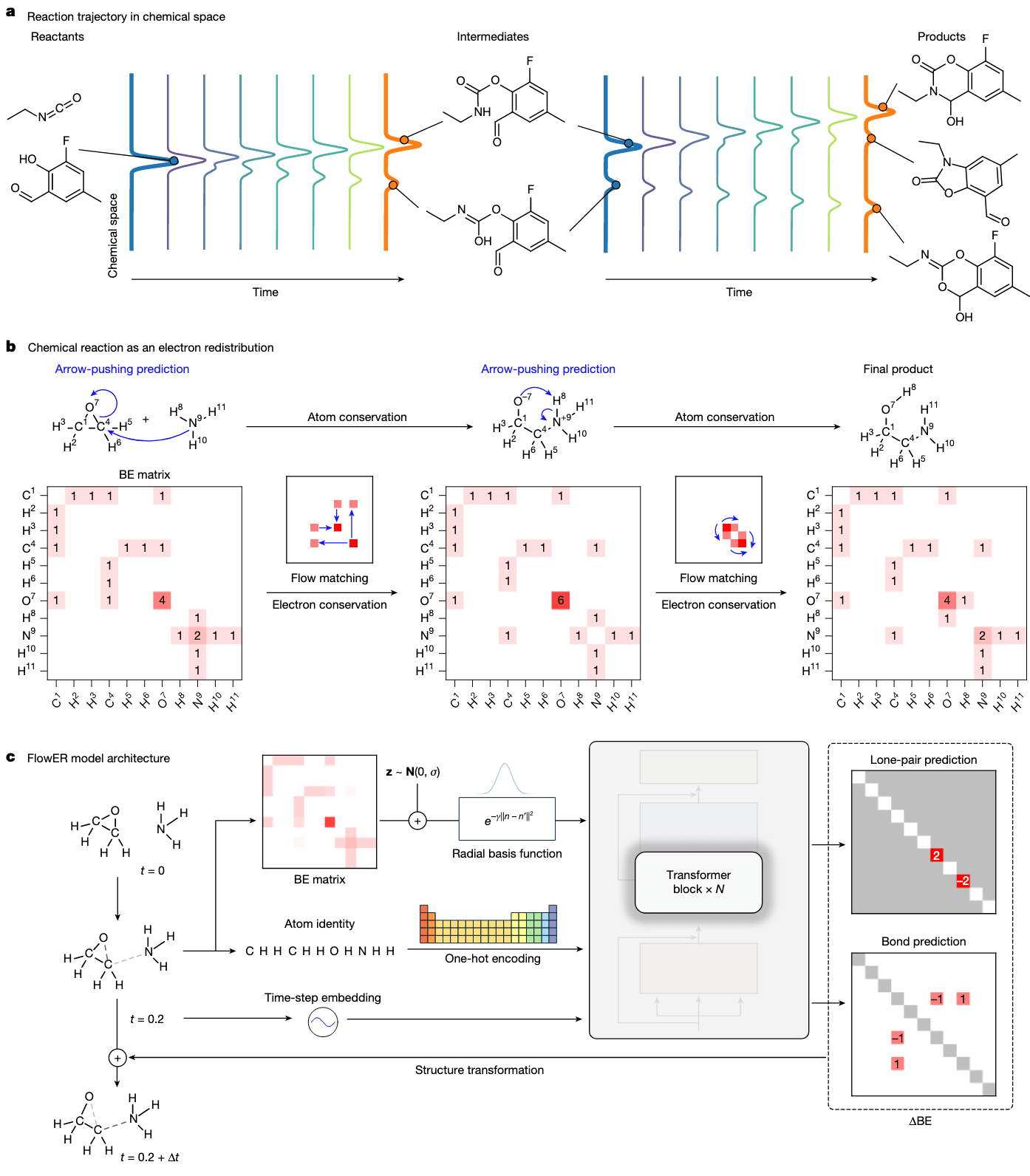 图 1 | FlowER 在生成范式下建模电子重分布过程 a｜FlowER 将化学反应建模为一个化学空间中随时间演化的概率轨迹。图示中将高维化学空间简化为一维表示，轨迹从反应物状态出发，经过一系列中间态，最终抵达一个或多个产物状态。每一步转移表示反应中的电子流动。b｜为实现严格守恒约束，FlowER 将化学反应形式化为反应物种间原子之间价电子的重分布过程。系统状态由固定的原子组分表示，其电子排布以 BE（bond-electron）矩阵 表征，该表示最早由 Ugi 等人在 1970 年代提出。FlowER 通过 flow matching 学习电子重分布过程，确保电子在整个反应过程中守恒。c｜FlowER 的输入为一个由 BE 矩阵表示的“瞬时”反应状态，配合 独热编码的原子类型 和 正弦时间嵌入向量。BE 矩阵通过径向基函数进行扩展，所有输入随后进入一系列 Transformer 模块进行处理，以预测键电子和孤电子对的变化。最终输出的 ΔBE 矩阵被强制约束为总和为零，以确保整体电子守恒。