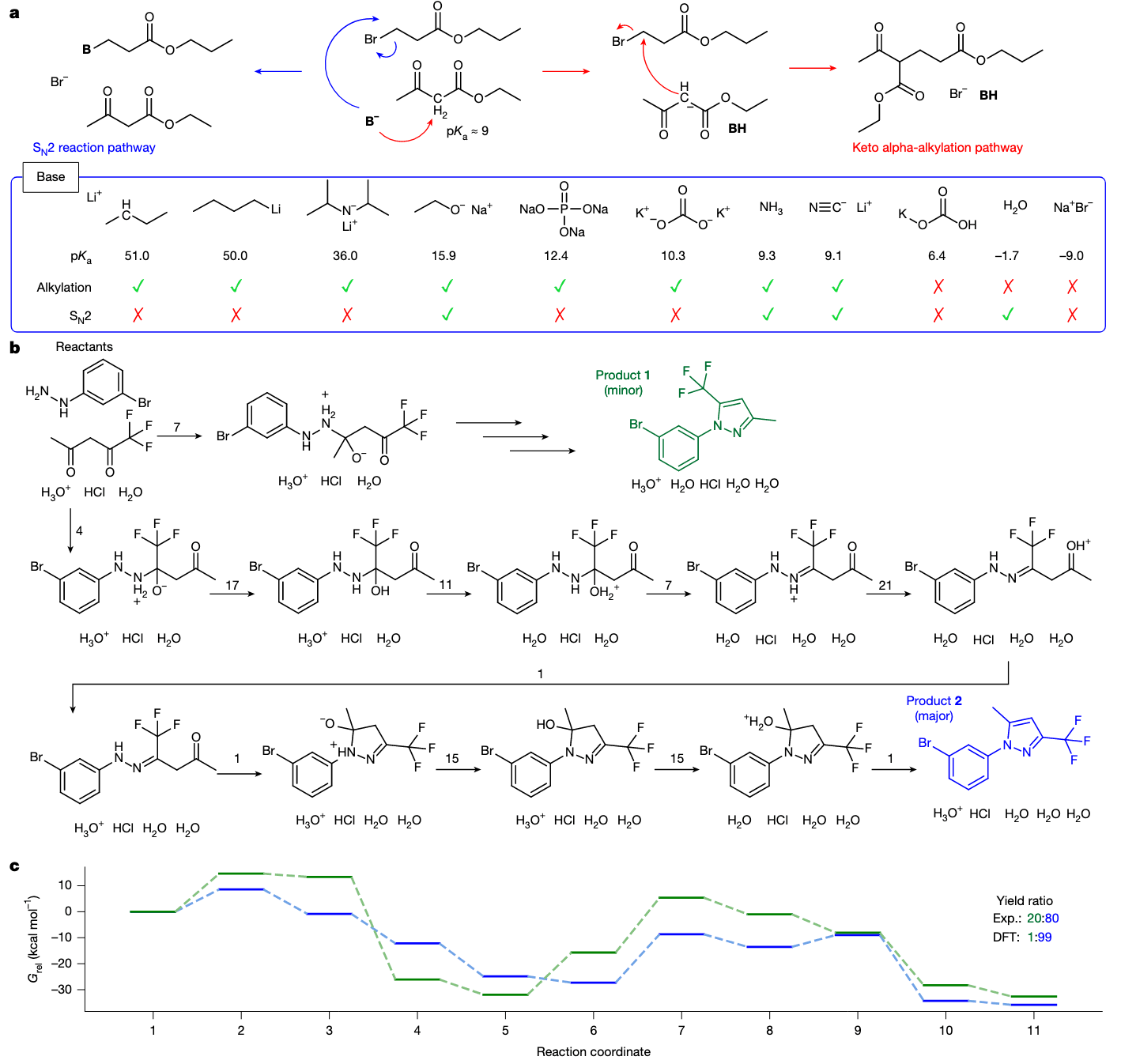 图 3 | FlowER 再现教科书中的反应性趋势，并支持后续计算分析 a｜FlowER 对碱/亲核试剂选择下反应路径的预测分析。该反应存在两条主要路径：酮 α-烷基化路径 与 SN2 取代路径，路径选择依赖于试剂是主要表现为碱性还是亲核性。图中蓝框展示了在使用不同碱时，FlowER 是否预测出每种路径的最终产物，并标注了对应碱的共轭酸 pK_a。若两条路径均标记为 “X”，表示模型预测该条件下无反应发生。b｜一个来自 2024 年文献的反应示例（文献 40, 41，详见扩展数据图 3a），FlowER 成功在 十个连续步骤中复现两个实验记录产物。箭头上或旁边的数字表示该路径在 32 次独立采样中被提出的次数。完整的反应机制路径详见扩展数据图 4。c｜每个中间状态的相对自由能 (G_rel)，在 B3LYP/6-311G 理论水平下结合 SMD 溶剂模型（溶剂为水）计算，使用 Orca 4.2.1 版本。反应坐标从初始反应物状态（）延伸至最终产物状态（x=11），中间点对应 FlowER 所预测的机制步骤。绿色路径为生成产物 1 的路线，蓝色路径为生成产物 2 的路线。所有自由能值均相对于反应物状态（设为 0 kcal/mol）进行归一化。该图展示了 FlowER 预测路径在热力学和动力学上一致地支持实验观察结果（产物 2 为主要产物），进一步验证了其 机制预测结果在物理建模中的可用性与解释性。