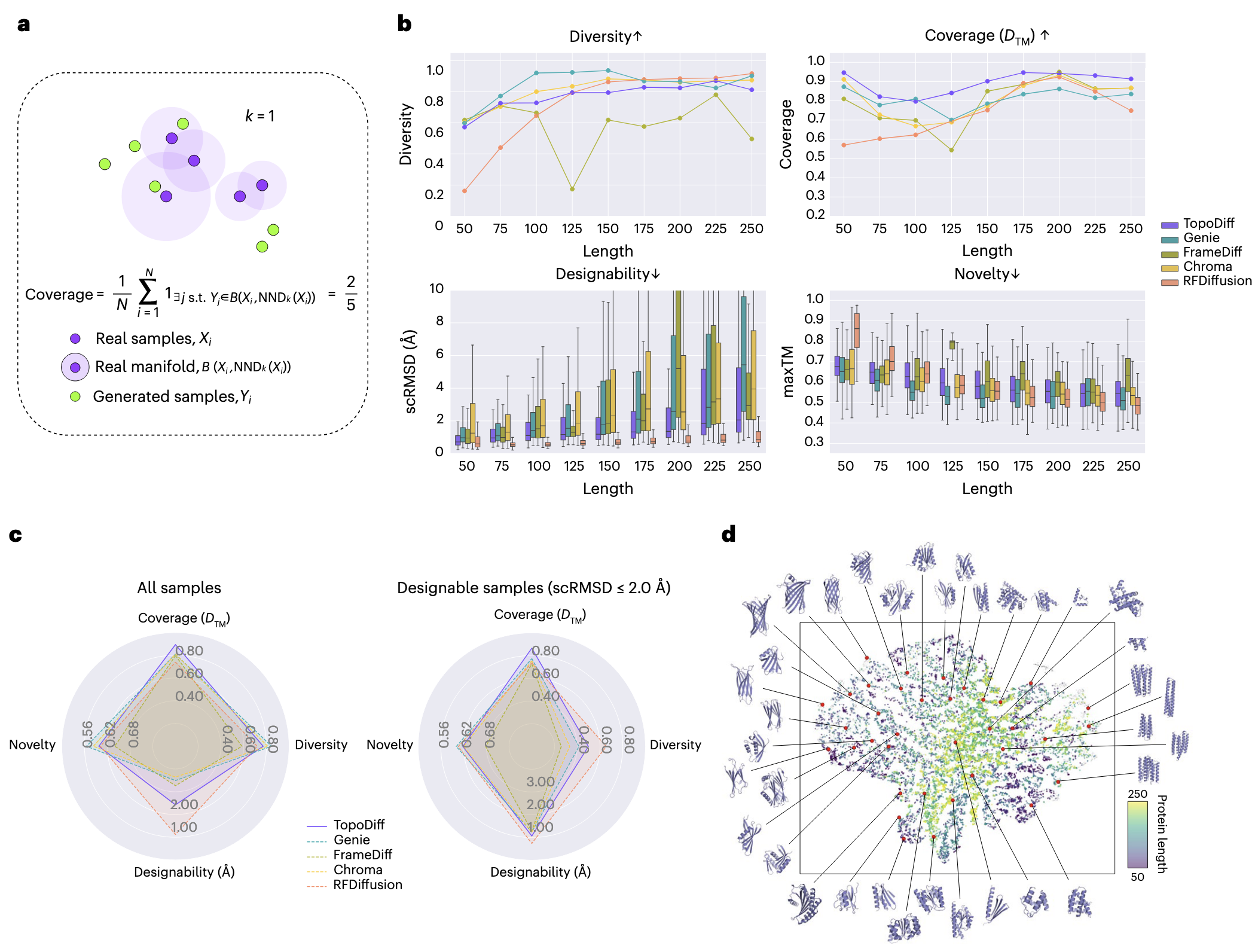 图 3 | TopoDiff 在无条件采样下的生成性能评估 a,覆盖率指标示意图,用于量化生成样本对天然蛋白折叠空间的覆盖程度。方法是将真实样本 与生成样本 进行比较,使用 KNN 方法判断每个真实样本在设定的距离阈值内是否被至少一个生成样本覆盖。覆盖率得分为在阈值内有邻居的真实样本比例。b,不同模型在多样性(diversity)、覆盖率(coverage)、设计性(designability)和新颖性(novelty)四个指标上的量化表现,涵盖不同蛋白长度区间。指标旁的箭头表示性能提升的期望方向。对于新颖性与设计性,使用箱线图展示分布(每个长度 个样本),中线表示中位数,箱体表示四分位区间,须线延伸至 1.5 倍四分位距。c,雷达图总结了各模型在不同指标上的平均表现,分别在所有生成样本(左)与仅限高质量样本(右,scRMSD ≤ 2 Å)两种情况下展示。每个指标均为在所有采样长度下的平均值。d,将生成样本的潜在编码投射到 CATH 数据集的 t-SNE 降维空间中。共 12,613 个潜在编码对应于 scRMSD ≤ 2 Å 且 maxTM < 0.7 的高设计性与高新颖性结构。这些潜在编码映射到原始的 CATH t-SNE 空间(见图 2),点的颜色表示生成的蛋白长度(约 50–250,从紫色到绿色)。散点图周围展示了潜在空间不同区域对应生成的代表性结构,直观体现了潜在编码与结构形态之间的关系。