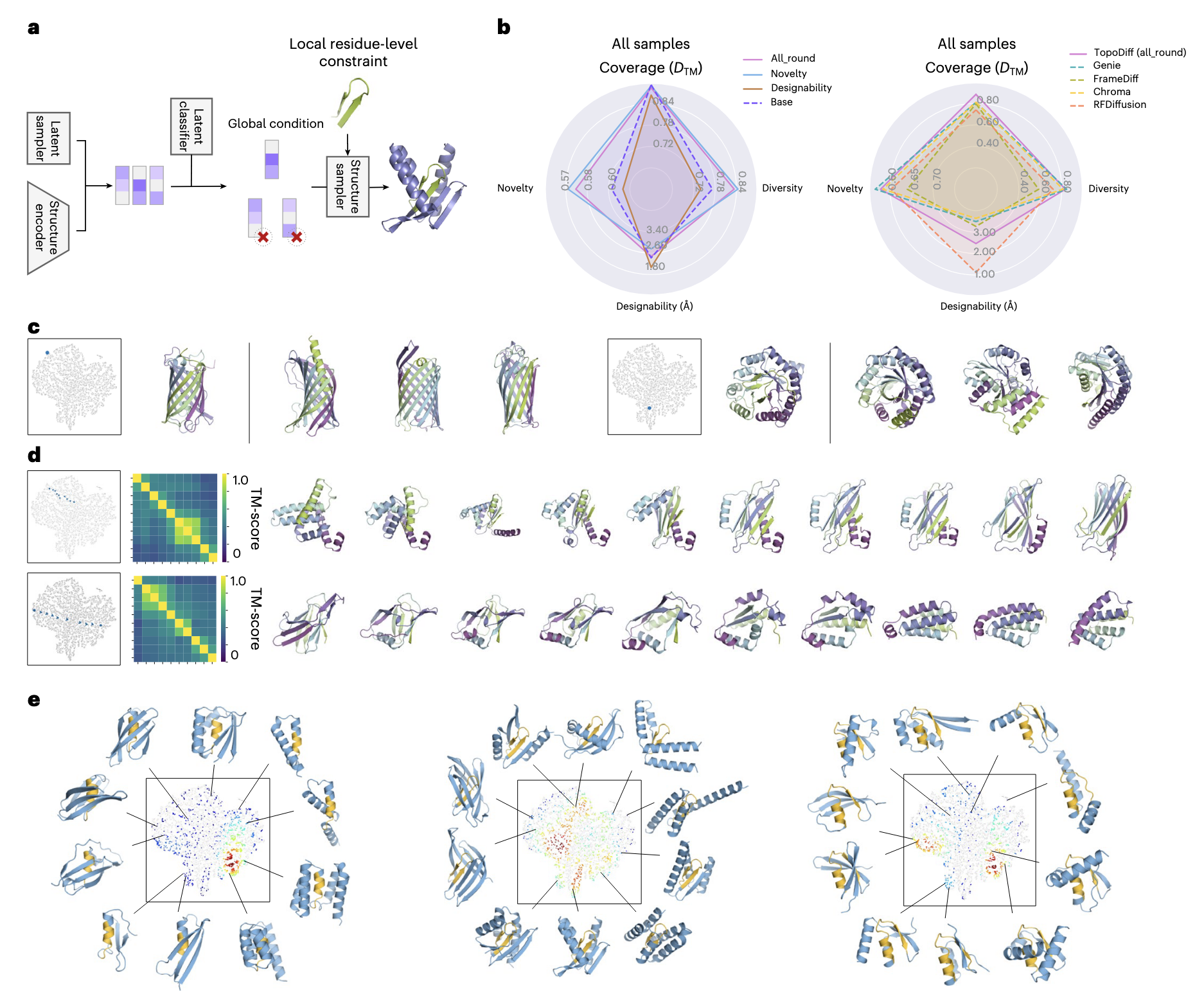 图 4 | 使用 TopoDiff 探索可控的蛋白质结构生成 a,可控生成流程概览。潜在编码既可通过潜在扩散模块生成,也可从局部分布中采样。后续的结构采样由采样潜在编码的接受概率(公式 (9))控制。被接受的潜在编码作为全局条件,可与局部残基级约束结合,用于生成满足特定设计标准的结构。b,雷达图对比了基于潜在空间拒绝采样得到的不同模型变体性能:基础模型(base)、新颖性优先(novelty-prioritized)、设计性优先(designability-prioritized)以及均衡型(all-round)。左图将三种变体与基础模型对比,右图则将均衡型变体与其他基线方法对比。所有指标的计算方式与图 3c 相同。c,通过基于参考结构的潜在编码进行重采样生成的结构示例。最左侧为从 CATH 数据集中选取的参考结构,右侧为随机生成的结构(未进行额外挑选)。d,通过在潜在空间中对两个潜在编码进行线性插值生成结构的可视化。每一行表示一次不同的插值过程,左侧为潜在轨迹在潜在空间中的投影,中间为样本结构两两相似度的 TM-score 距离矩阵,右侧为对应的结构可视化。e,motif 骨架实验。对于每个 motif 案例,将成功设计的潜在编码绘制在中心散点图中,并用核密度估计(KDE)着色表示局部成功设计的密度。散点图周围展示了从潜在空间不同区域采样的代表性结构,其中查询的 motif 残基以黄色高亮显示,其余部分为蓝色。