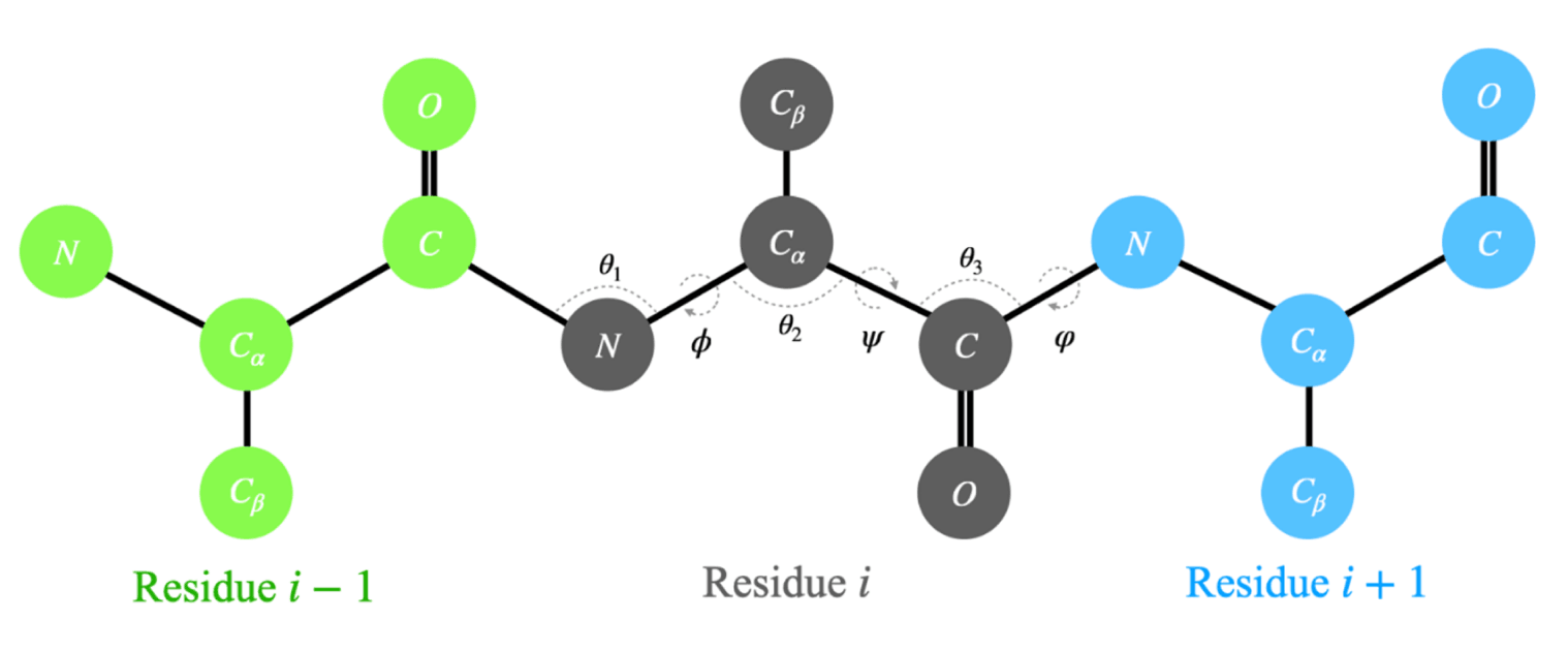 图7 | 蛋白质主链的简化示意图，它可以被描述为由残基组成的线性链条。每个编号为 i 的残基包含主链中的氮原子（N）、中心碳原子（Cα）、碳原子（C）和氧原子（O）；侧链原子被省略，除非是 ProteinSGM 方法中使用的 Cβ 碳原子。相邻原子之间的共价键的内部坐标由 φ、ψ、φ、θ₁、θ₂、θ₃ 表示。不同方法选择不同的主链表示方式——每种表示方式都有其优势与不足。