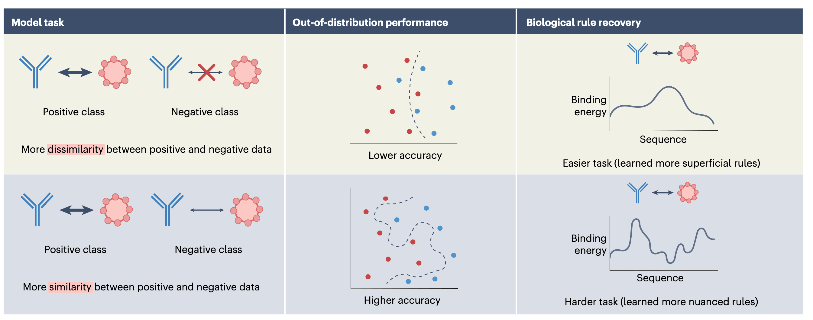 图 1 | 负样本构成决定抗体结合预测模型的泛化能力。Ursu 等人通过使用不同负样本构成的 CDRH3 序列，训练模型进行抗体–抗原结合预测，从而模拟现实世界中的预测任务。研究发现：当负样本与正样本序列差异较大时，任务相对容易，模型虽然能快速学到表面规律，但在分布变化下表现脆弱；相反，当负样本与正样本序列相似度较高时，任务更具挑战性，模型被迫学习更细致、可泛化的规律。这种困难任务所驱动的学习过程，不仅提高了模型在新数据上的泛化能力，也让模型的预测结果与真实的物理结合能更为一致。这说明负样本设计不仅影响模型的准确率，更深刻地影响其是否能学到具有生物学意义的机制性规律。这一结果强调了一个关键观点：负样本的选择方式，对模型的生物学相关性和实际应用能力具有决定性作用。