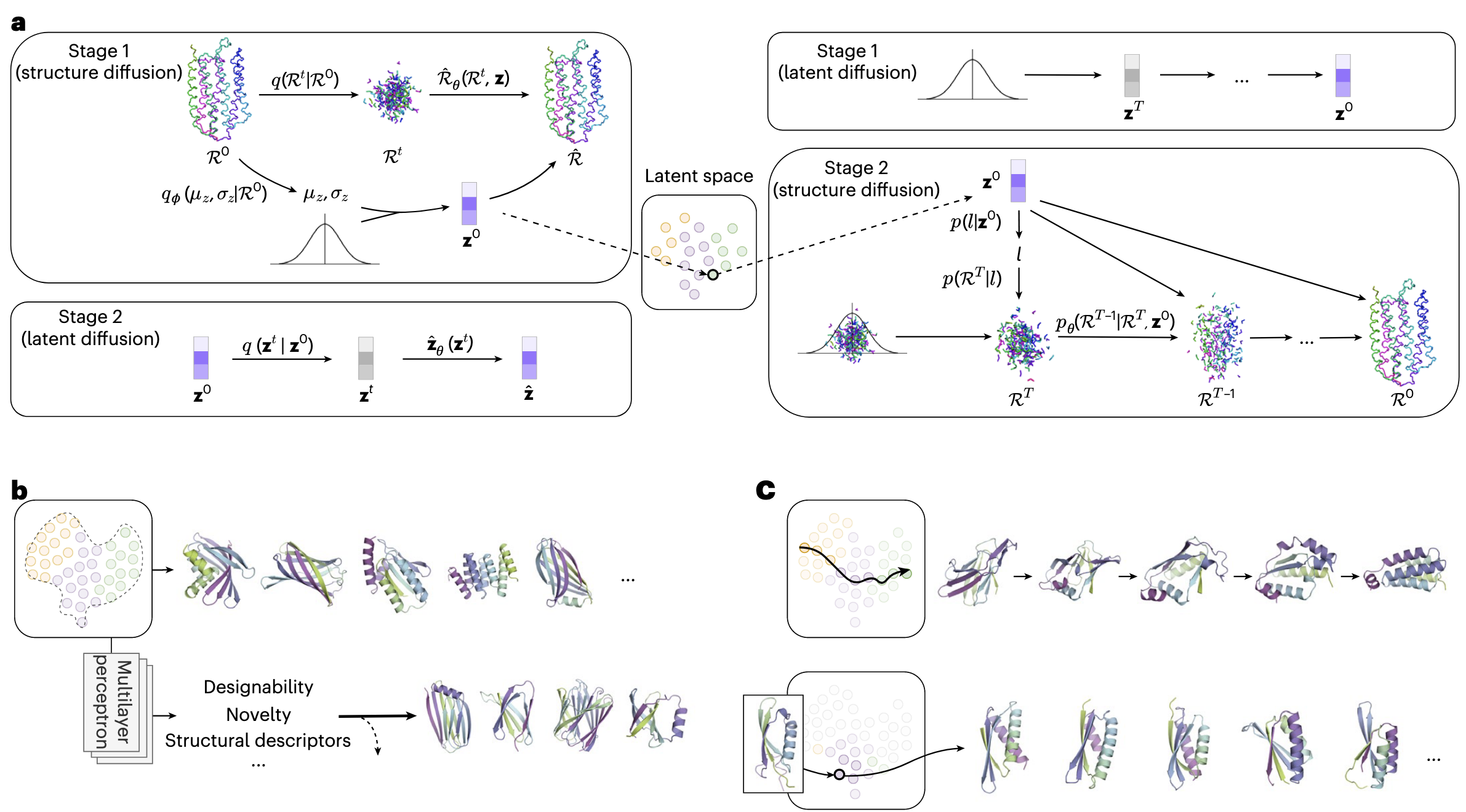 图 1 | 工作概览 a,TopoDiff 的整体框架。训练过程(左)与采样过程(右)均包含两个阶段。在训练阶段的第一步,每个蛋白质结构经编码器模块转换为固定大小、低维度的潜在编码 ,以捕捉其全局几何信息;同时,受扰动的结构 按预设的前向边际分布采样获得。扩散解码器以 和 为输入,学习预测真实结构 。在第二步训练中,重点是学习潜在表示空间中的扩散过程。在推理阶段,首先从潜在扩散模块中采样潜在编码,然后使用结构解码器在条件 下生成蛋白质结构。b,通过在紧凑、连续的潜在空间中进行无偏采样,TopoDiff 能够生成在天然折叠空间覆盖率更高的样本(上排);同时,也可以在潜在属性预测器的辅助下,通过重新加权的潜在采样生成具有特定性质的结构(下排)。示例应用展示了生成新颖且具设计性的 mainly β 类蛋白质。c,TopoDiff 还可以从潜在空间的局部分布中生成结构。示例包括:通过基于潜在编码的线性插值实现两个结构之间的渐变过渡(上排),以及通过潜在扰动生成与给定参考结构具有相似全局几何特征的结构(下排)。