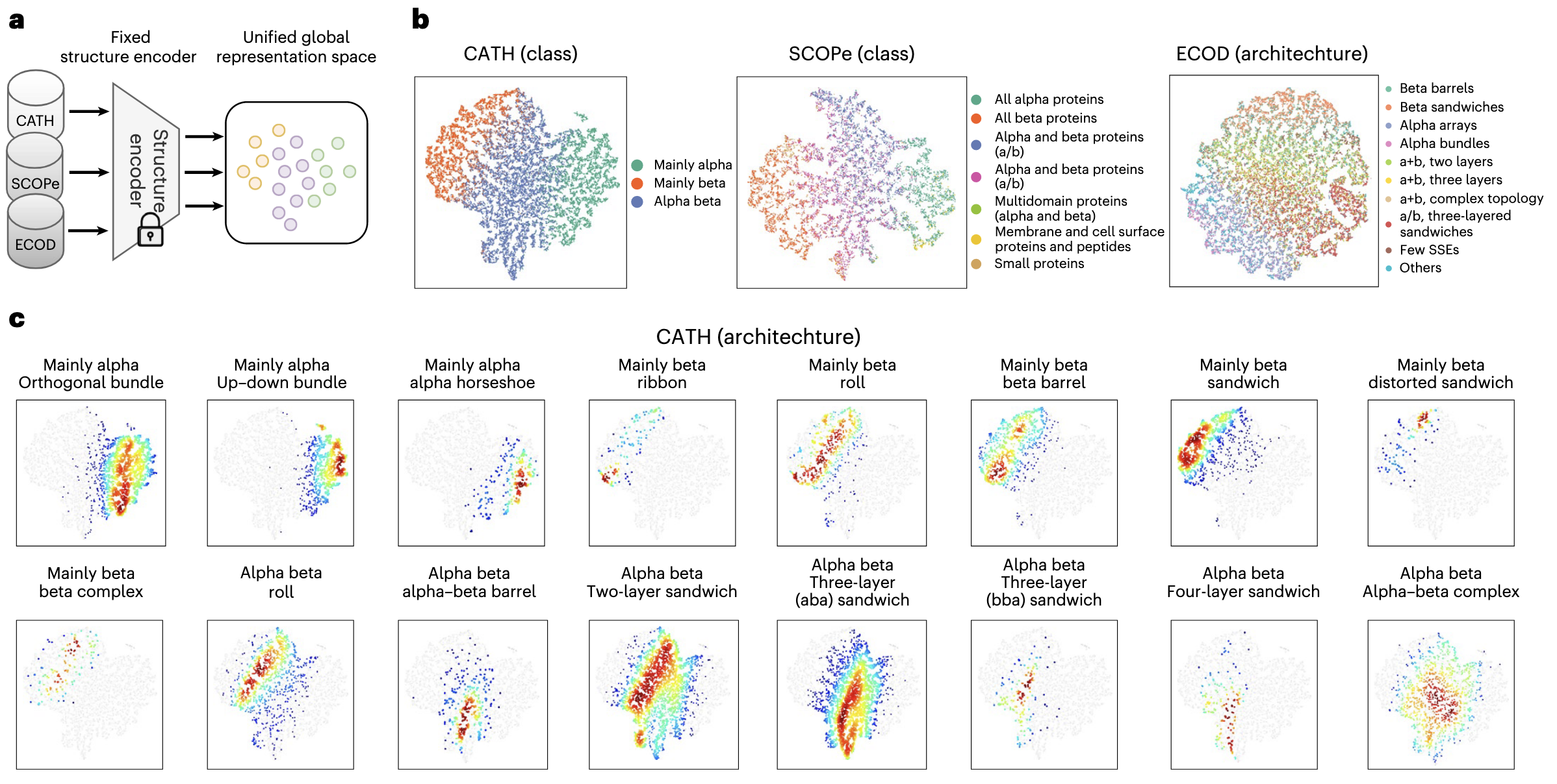 图 2 | TopoDiff 学习到的潜在表示分析 a,经过训练后的固定结构编码器,可以将来自不同来源的结构映射到统一的全局表示空间中。b,将潜在空间按照最高层级分类体系进行可视化着色:CATH(class)、SCOPe(class)和 ECOD(architecture)。每个点代表一个结构,并根据其分类注释进行着色。c,对特定 CATH 架构在潜在空间中的分布进行核密度估计(KDE)。每个子图展示了某一架构类别结构在潜在空间中的密度分布情况,反映其在整体潜在空间中的位置与形态特征。